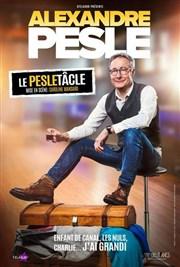 sortie à AVIGNON, Vaucluse. ALEXANDRE PESLE DANS LE PESLETACLE Sortir à AVIGNON(Vaucluse). AVIGNON.