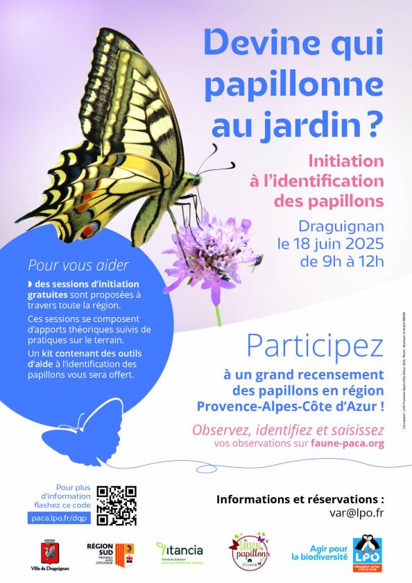 Sortir à DRAGUIGNAN(Var). DRAGUIGNAN.