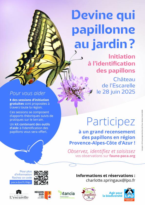 sortie à LA CELLE, Var. DEVINE QUI PAPILLONNE ? Sortir à LA CELLE(Var). LA CELLE.