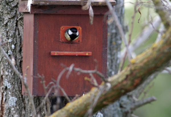 sortie à DRAGUIGNAN, Var. COMMENT ACCUEILLIR LA BIODIVERSITÉ AU JARDIN ? Sortir à DRAGUIGNAN(Var). DRAGUIGNAN.