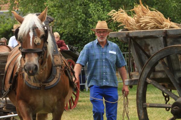 sortie à STEENWERCK, Nord. FÊTE DU CHEVAL DE TRAIT Sortir à STEENWERCK(Nord). STEENWERCK.