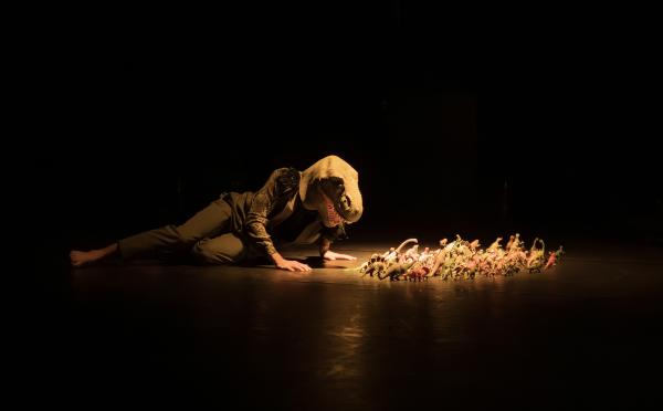 sortie à ST OUEN L AUMONE, Val d'oise. CONFÉRENCE DANSÉE DINOSAURES DE LA COMPAGNIE D-DAL Sortir à ST OUEN L AUMONE(Val d'oise). ST OUEN L AUMONE.