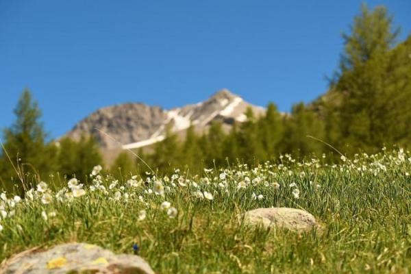 Sortir à VALDEBLORE(Alpes Maritimes). VALDEBLORE.