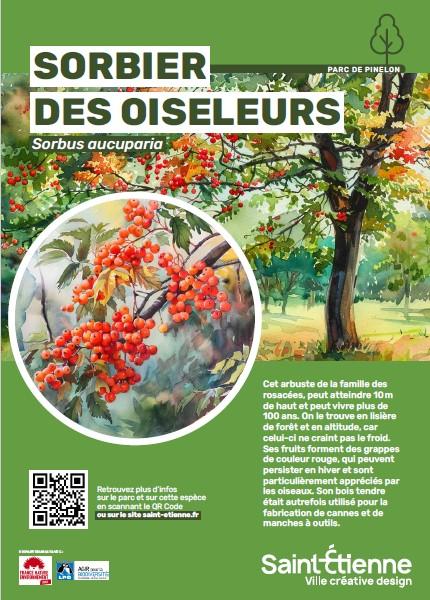 sortie à ST ETIENNE, Loire. RENDEZ VOUS AUX JARDINS Sortir à ST ETIENNE(Loire). ST ETIENNE.