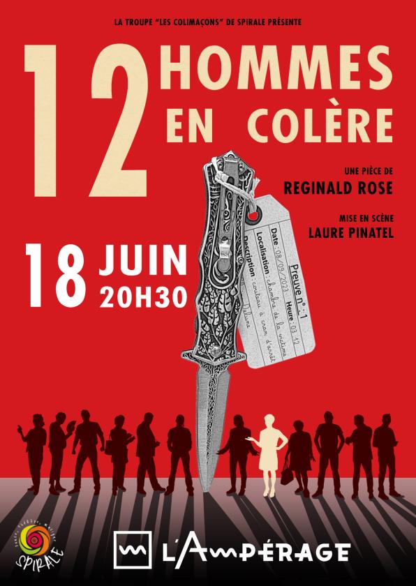 sortie à GRENOBLE, Isère. 12 HOMMES EN COLÈRE, DE REGINALD ROSE Sortir à GRENOBLE(Isère). GRENOBLE.