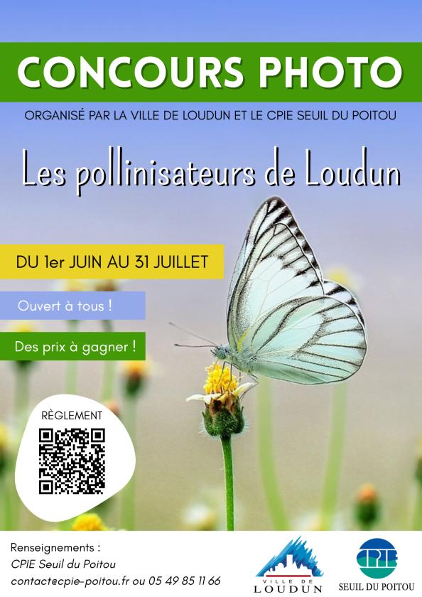 sortie à LOUDUN, Vienne. CONCOURS PHOTOS "LES POLLINISATEURS DE LOUDUN" Sortir à LOUDUN(Vienne). LOUDUN.