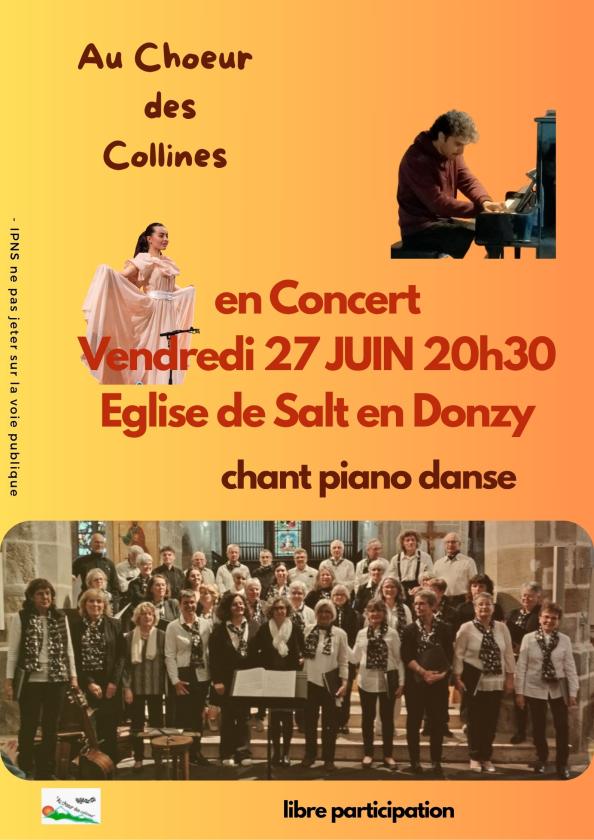 Sortir à SALT EN DONZY(Loire). SALT EN DONZY.