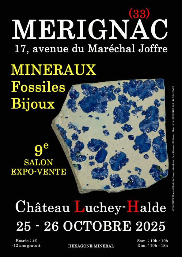 sortie à MERIGNAC, Gironde. 9E SALON MINERAUX FOSSILES BIJOUX Sortir à MERIGNAC(Gironde). MERIGNAC.