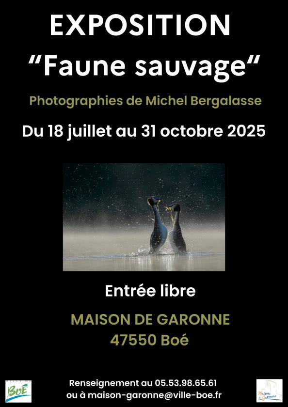 sortie à BOE, Lot et Garonne. EXPOSITION PHOTOGRAPHIQUE "FAUNE SAUVAGE" Sortir à BOE(Lot et Garonne). BOE.
