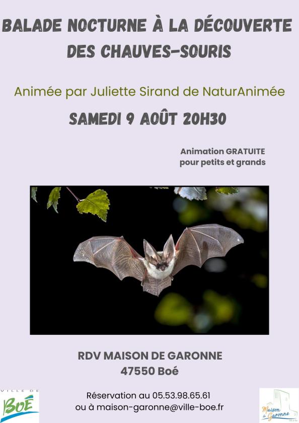 sortie à BOE, Lot et Garonne. BALADE NOCTURNE À LA DÉCOUVERTE DES CHAUVES-SOURIS Sortir à BOE(Lot et Garonne). BOE.