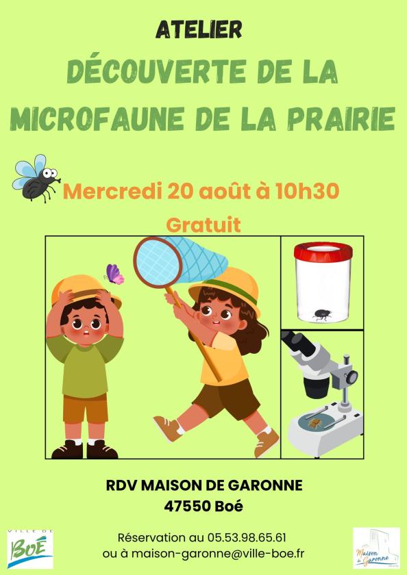 sortie à BOE, Lot et Garonne. ATELIER DÉCOUVERTE DE LA MICROFAUNE DE LA PRAIRIE Sortir à BOE(Lot et Garonne). BOE.