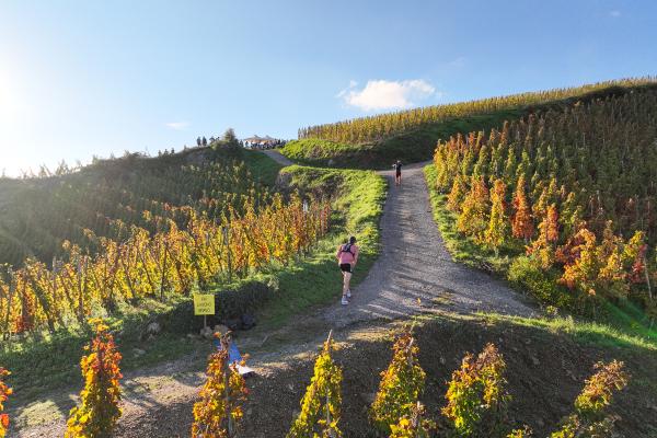 sortie à AMPUIS, Rhône. TRAIL EN CÔTE-RÔTIE Sortir à AMPUIS(Rhône). AMPUIS.