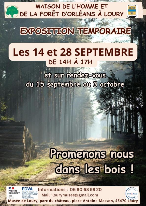 sortie à LOURY, Loiret. EXPOSITION "PROMENONS-NOUS DANS LES BOIS" Sortir à LOURY(Loiret). LOURY.
