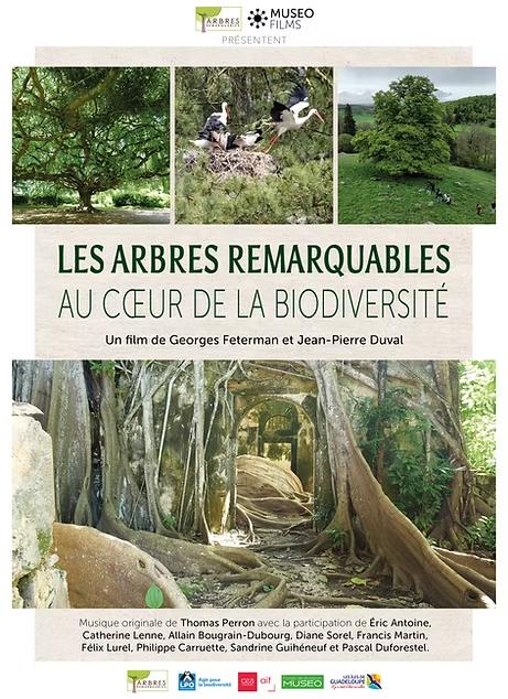 Sortir à DECAZEVILLE(Aveyron). DECAZEVILLE.
