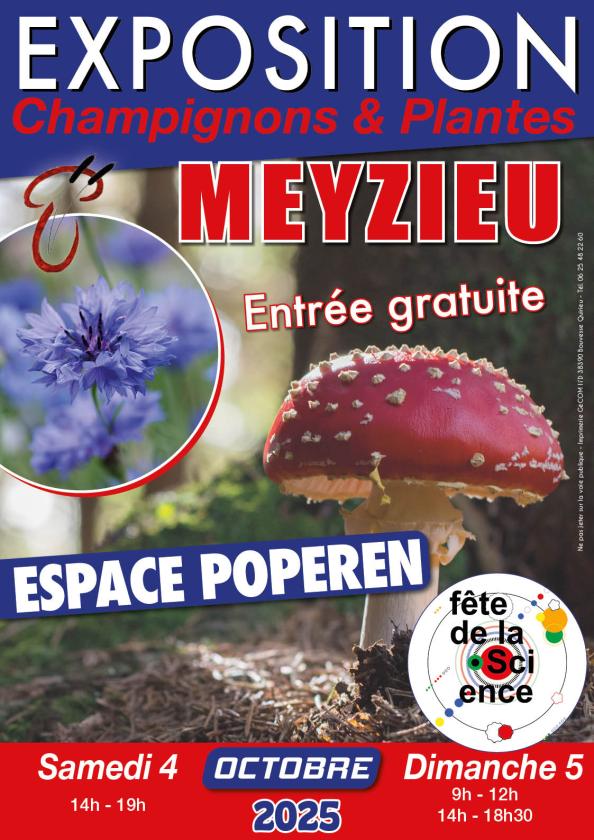 Sortir à MEYZIEU(Rhône). MEYZIEU.