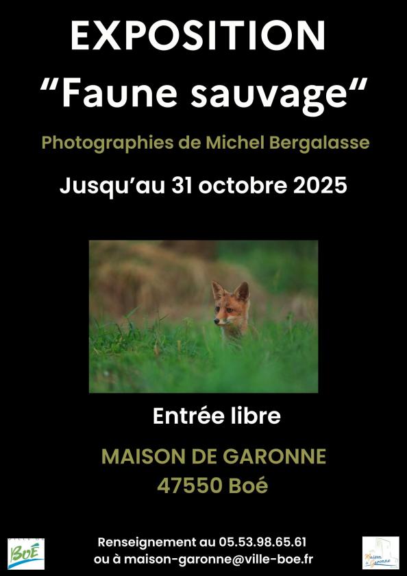 sortie à BOE, Lot et Garonne. EXPOSITION PHOTOGRAPHIQUE " FAUNE SAUVAGE" Sortir à BOE(Lot et Garonne). BOE.