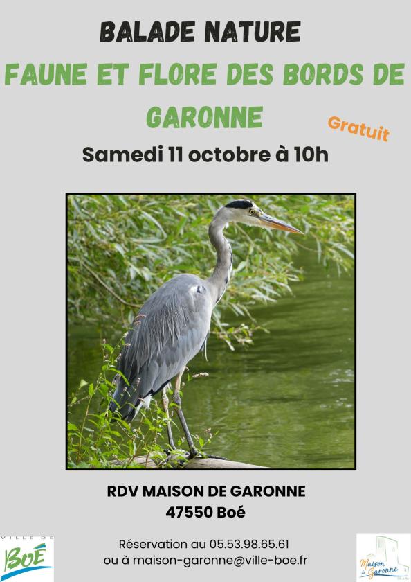 sortie à BOE, Lot et Garonne. BALADE FAUNE ET FLORE DES BORDS DE GARONNE Sortir à BOE(Lot et Garonne). BOE.