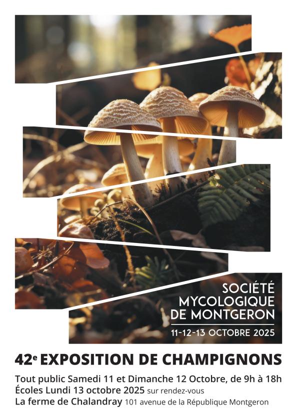 Sortir à MONTGERON(Essonne). MONTGERON.
