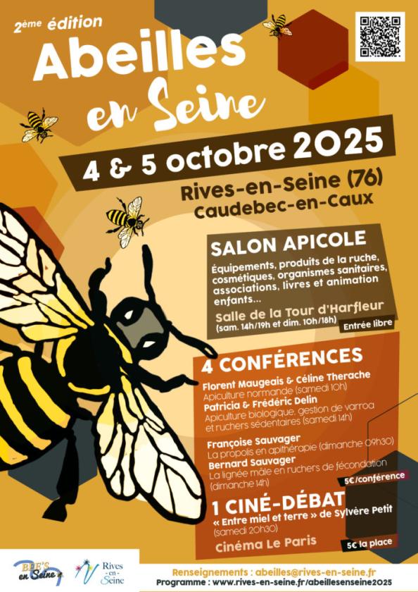 Sortir à CAUDEBEC EN CAUX(Seine Maritime). CAUDEBEC EN CAUX.