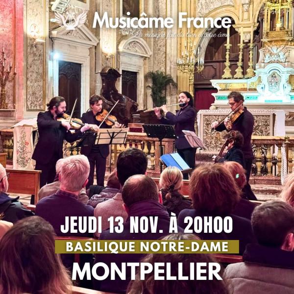 Sortir à MONTPELLIER(Hérault). MONTPELLIER.