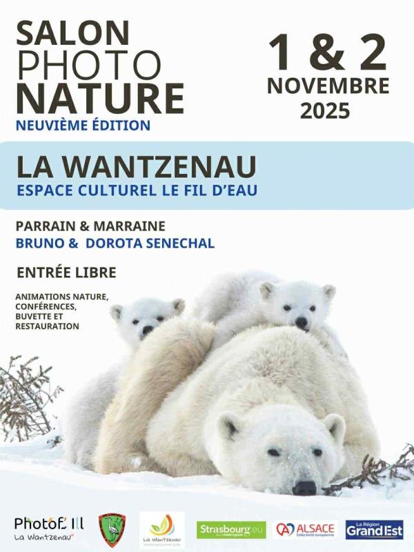Sortir à LA WANTZENAU(Bas Rhin). LA WANTZENAU.