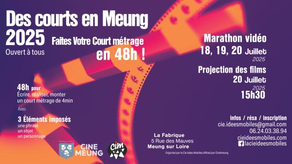 Sortir à MEUNG SUR LOIRE(Loiret). MEUNG SUR LOIRE.