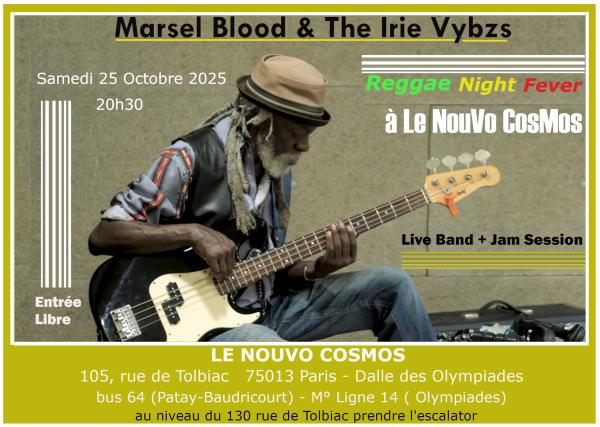 sortie à PARIS 13, Paris. REGGAE NIGHT FEVER Sortir à PARIS 13(Paris). PARIS 13.