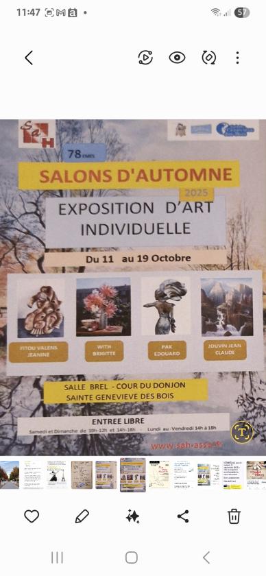 sortie à STE GENEVIEVE DES BOIS, Essonne. SALON D'AUTOMNE DE SAINTE-GENEVIÈVE-DES-BOIS (ESSO Sortir à STE GENEVIEVE DES BOIS(Essonne). STE GENEVIEVE DES BOIS.