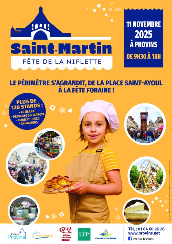 Sortir à PROVINS(Seine et Marne). PROVINS.