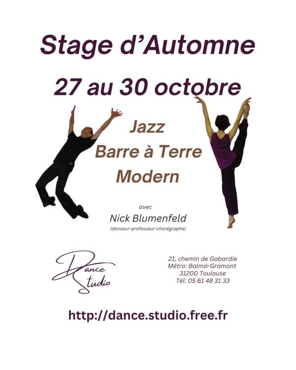 sortie à TOULOUSE, Haute Garonne. STAGE DE DANSE VACANCES DE LA TOUSSAINT Sortir à TOULOUSE(Haute Garonne). TOULOUSE.