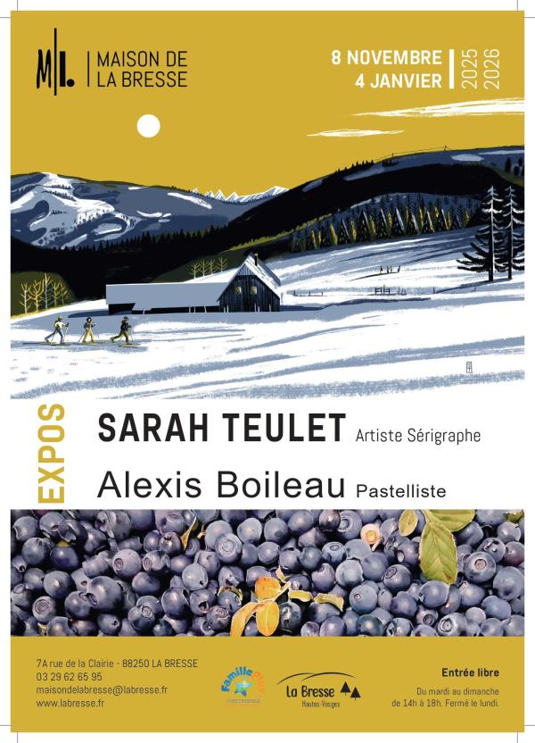 sortie à LA BRESSE, Vosges. EXPOS D'HIVER Sortir à LA BRESSE(Vosges). LA BRESSE.