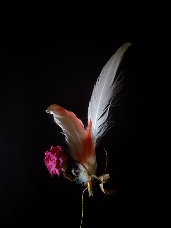 sortie à LISIEUX, Calvados. ASSEMBLÉE GÉNÉRALE DU TANIT THÉÂTRE  Sortir à LISIEUX(Calvados). LISIEUX.
