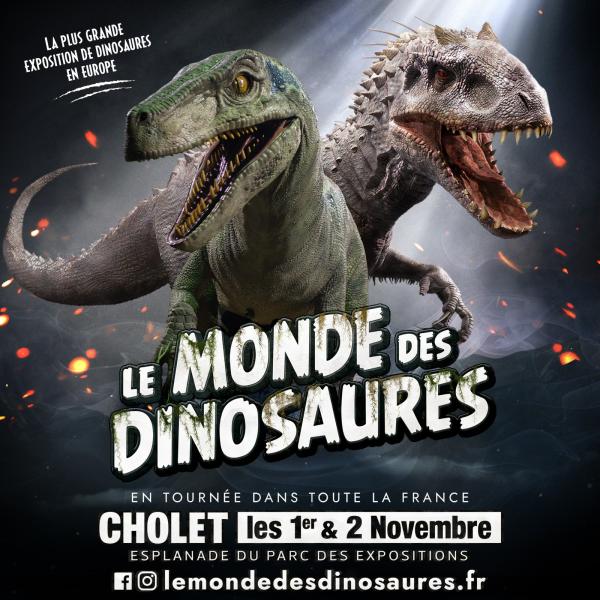 Sortir à CHOLET(Maine et Loire). CHOLET.