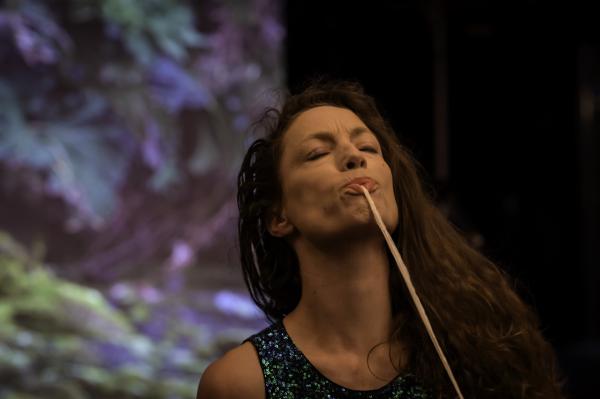 sortie à MILLAU, Aveyron. « MIMESIS » ZART CIE JULIE PICHAVANT Sortir à MILLAU(Aveyron). MILLAU.