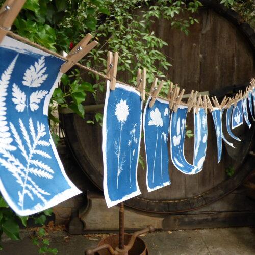 sortie à CIBOURE, Pyrénées Atlantiques. ATELIER PEINDRE AVEC LE SOLEIL Sortir à CIBOURE(Pyrénées Atlantiques). CIBOURE.