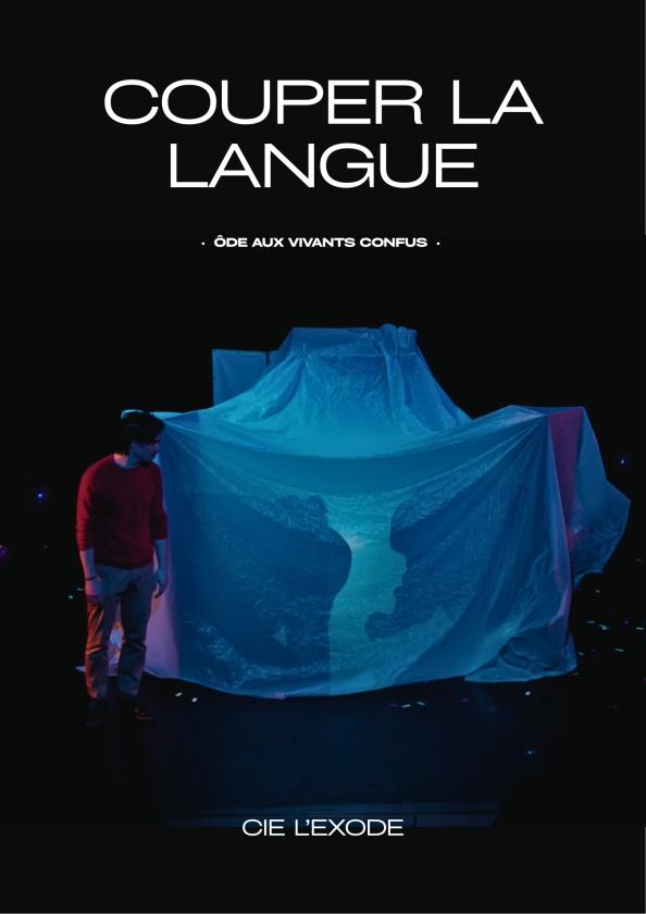 Sortir à TOULOUSE(Haute Garonne). TOULOUSE.