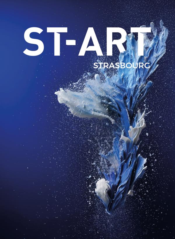 sortie à STRASBOURG, Bas Rhin. ST-ART Sortir à STRASBOURG(Bas Rhin). STRASBOURG.