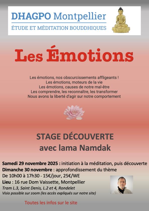 sortie à MONTPELLIER, Hérault. LES ÉMOTIONS, LES RECONNAÎTRE, LES TRANSFORMER Sortir à MONTPELLIER(Hérault). MONTPELLIER.