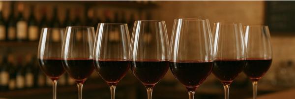 Sortir à TREMBLAY EN FRANCE(Seine Saint Denis). TREMBLAY EN FRANCE.