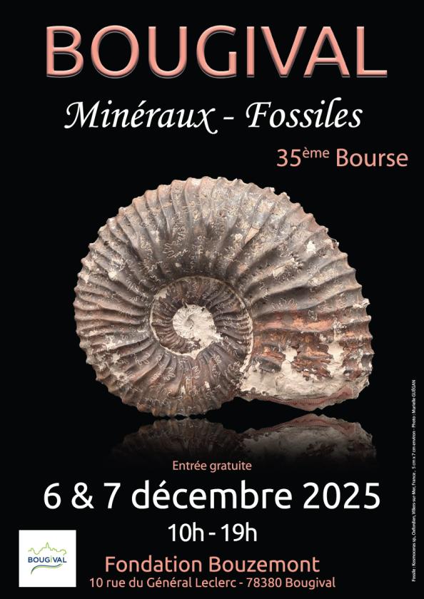 sortie à BOUGIVAL, Yvelines. EXPO-VENTE / BOURSE MINÉRAUX ET FOSSILES BOUGIVAL Sortir à BOUGIVAL(Yvelines). BOUGIVAL.