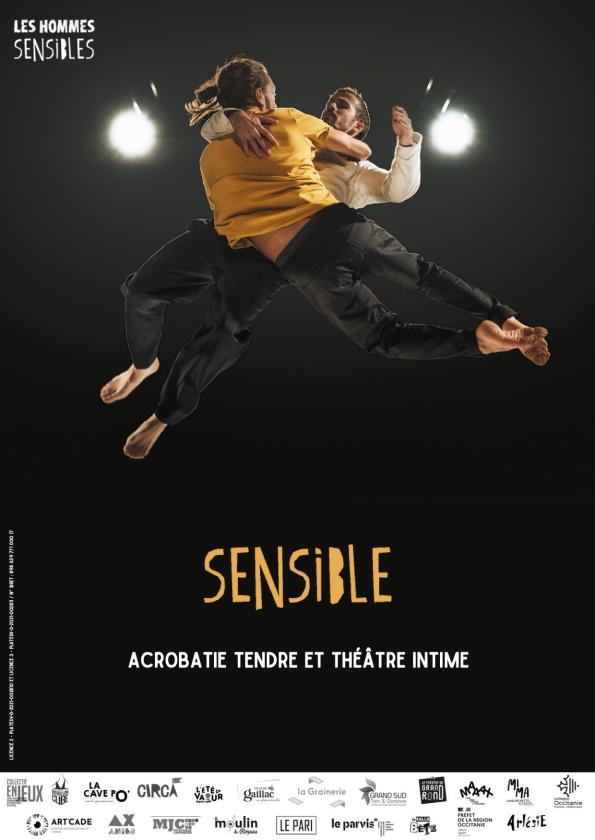 sortie à MONTREAL, Aude. SENSIBLE (CIRQUE ACROBATIQUE) + ZANZIBULE Sortir à MONTREAL(Aude). MONTREAL.