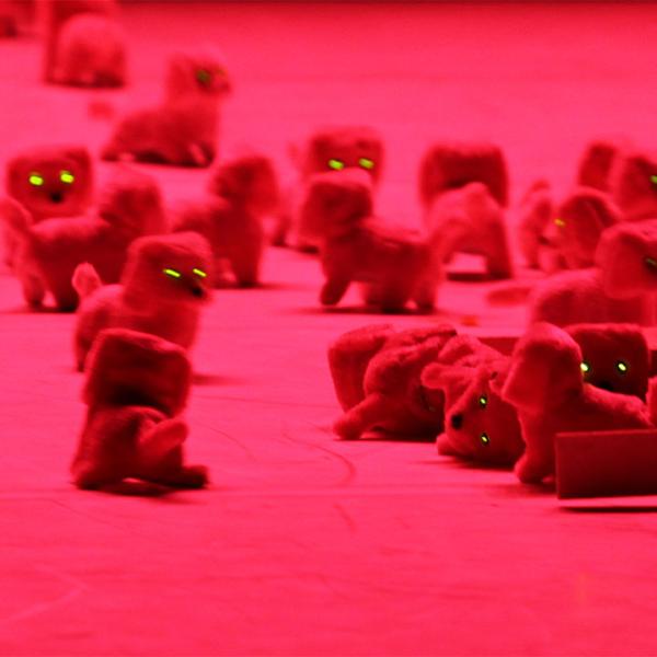 Sortir à BELFORT(Territoire de Belfort). BELFORT.