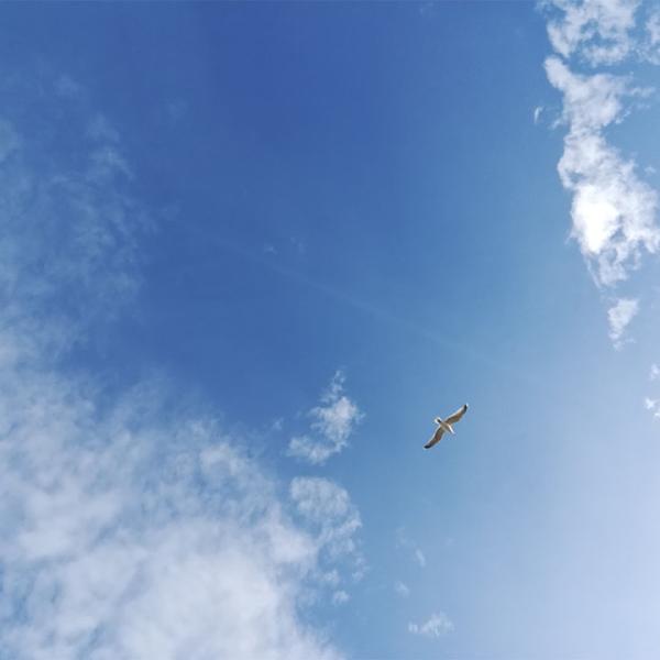 Sortir à BELFORT(Territoire de Belfort). BELFORT.