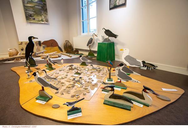 Sortir à MONTLOUIS SUR LOIRE(Indre et Loire). MONTLOUIS SUR LOIRE.