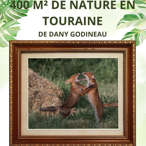 Sortir à MONTLOUIS SUR LOIRE(Indre et Loire). MONTLOUIS SUR LOIRE.