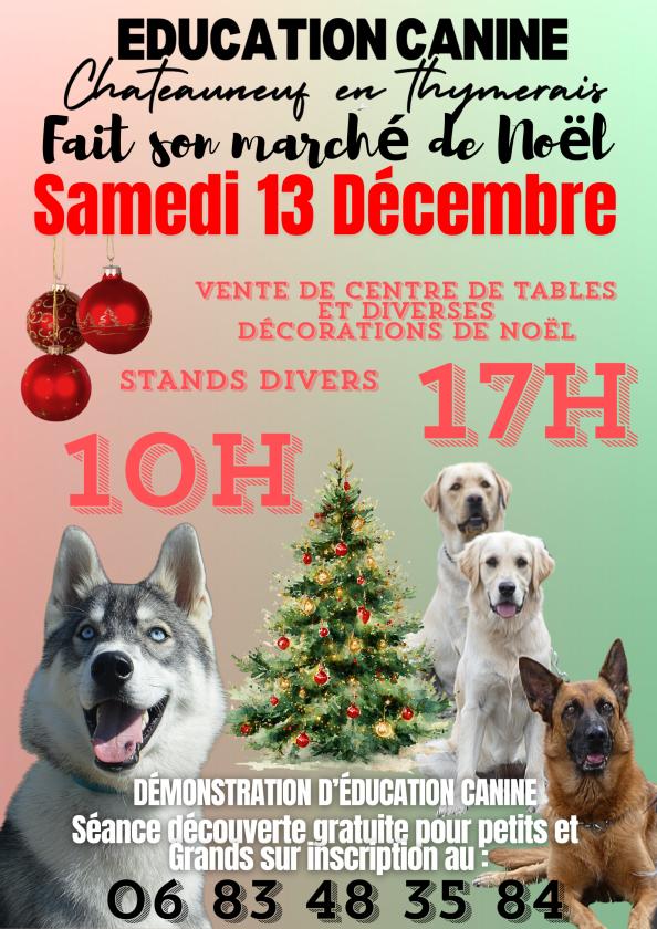 sortie à CHATEAUNEUF EN THYMERAIS, Eure et Loir. ECCT CHATEAUNEUF EN THYMERAIS MARCHÉ DE NOËL Sortir à CHATEAUNEUF EN THYMERAIS(Eure et Loir). CHATEAUNEUF EN THYMERAIS.