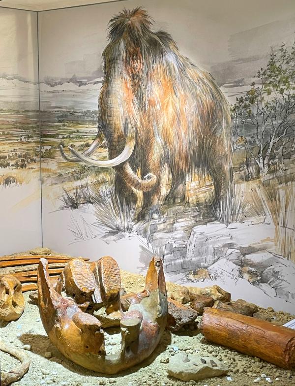 sortie à SOYONS, Ardèche. VISITE DU MUSÉE ARCHÉOLOGIQUE DE SOYONS Sortir à SOYONS(Ardèche). SOYONS.