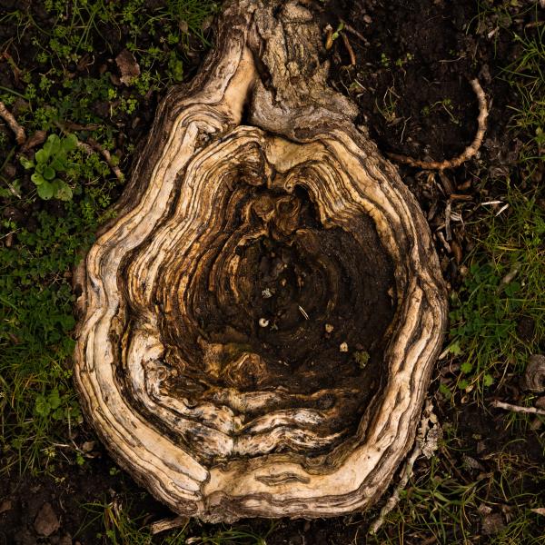 sortie à ST OUEN L AUMONE, Val d'oise. PERFORMANCE "PLURIELLES – SOROR#1" Sortir à ST OUEN L AUMONE(Val d'oise). ST OUEN L AUMONE.