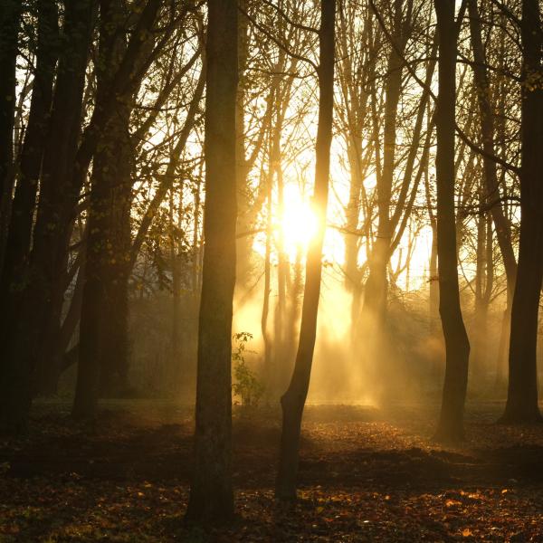 Sortir &agrave; ST OUEN L AUMONE(Val d'oise). ST OUEN L AUMONE.