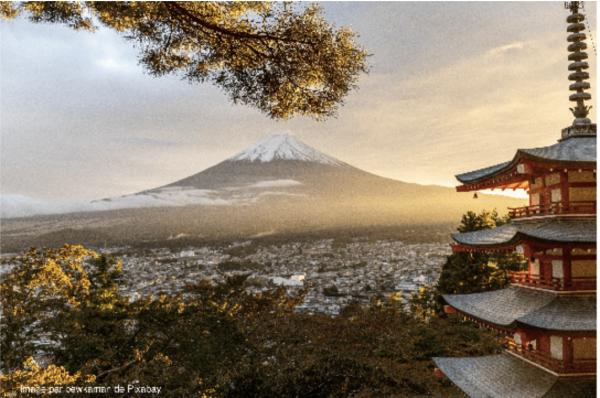 Sortir &agrave; PARIS(Paris). PARIS.